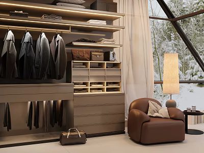 Modern Wardrobe With Shelves Hanging Space Drawers And Brown Armchair Floor Lamp Snowy View 3d model
