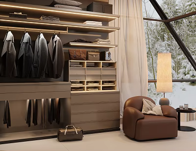 Modern Wardrobe With Shelves Hanging Space Drawers And Brown Armchair Floor Lamp Snowy View 3d model