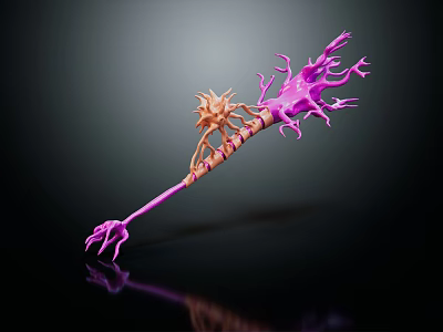 Medical Device Featuring 3D Neuronal Branch Design Claw Shaped End And Reflective Surface 3d model
