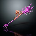 Medical Device Featuring 3D Neuronal Branch Design Claw Shaped End And Reflective Surface