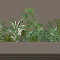 Lush Indoor Green Plant Wall With Various Palm Leaves And Cactus In White Planter