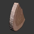 Natural Wood Slice with Distinct Annual Rings and Smooth Wooden Grain Texture