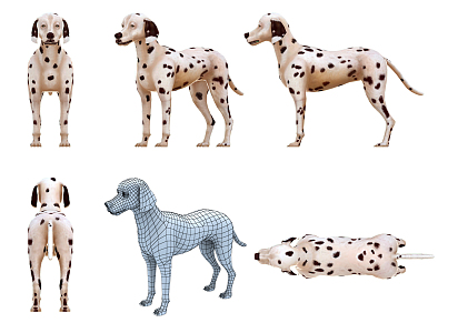 The Modern Dog 3d model