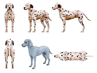 The Modern Dog 3d model