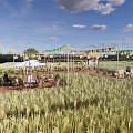 Rural Landscape Golden Wheat Field Colorful Bunting White Canopy Tables Chairs Under Blue Sky Clouds