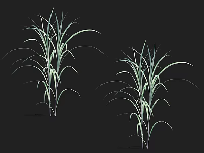 Vibrant Aquatic Plants With Long Slender Green Leaves Growing In Water 3d model