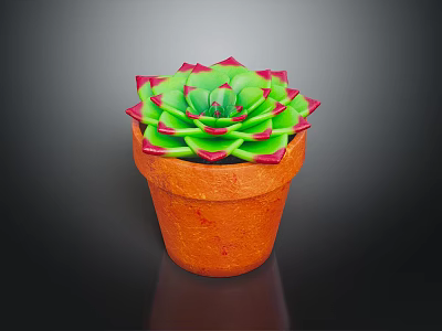 Vibrant Succulent Plant With Green Leaves Red Edges In Orange Terracotta Pot 3d model