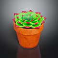 Vibrant Succulent Plant With Green Leaves Red Edges In Orange Terracotta Pot