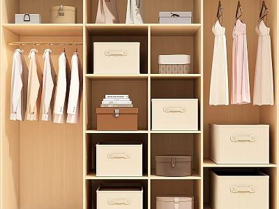 Organized Wooden Wardrobe With Hanging Shirts Dresses Storage Boxes And Shelves 3d model