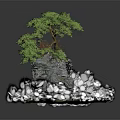 Bonsai Plant with Green Leaves on Rock Base and Small House Decoration