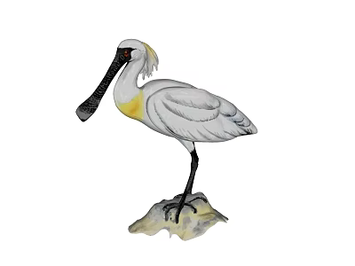 White Wading Bird With Long Beak Standing On Rock Displaying Plumage 3d model