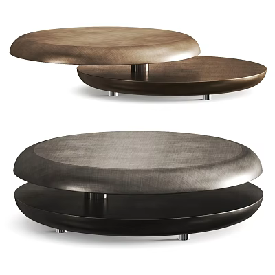 Modern Circular Two Tiered Coffee Table With Wooden And Metal Surfaces In Brown And Black 3d model