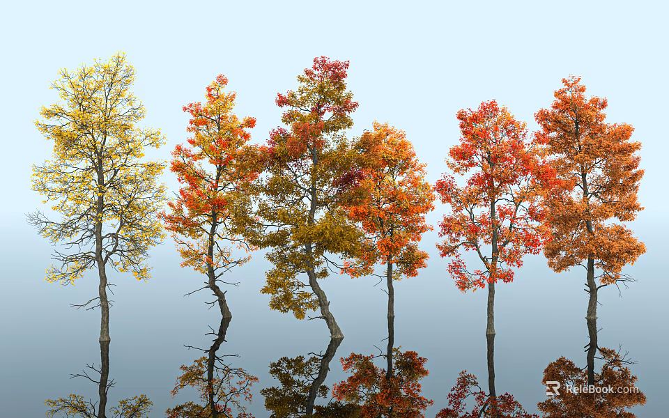 Scenic Autumn Landscape With Colorful Trees Red Yellow Foliage And Water Reflections 3d model 