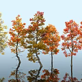 Scenic Autumn Landscape With Colorful Trees Red Yellow Foliage And Water Reflections