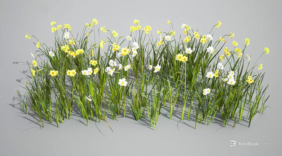 Fresh Yellow And White Small Flowers Blooming In Green Grass Field 3d model 