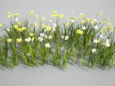 Fresh Yellow And White Small Flowers Blooming In Green Grass Field 3d model