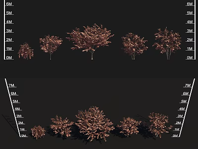 Garden Landscape Design With Trees Of Various Heights And Natural Foliage 3d model