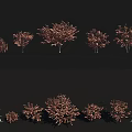 Garden Landscape Design With Trees Of Various Heights And Natural Foliage