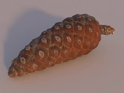 Pine Cone Shaped Baked Pastry With Nutty Flavor And Crunchy Surface Texture 3d model