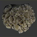 Aquatic Animals Thrive In Natural Coral Reef With Intricate White Brown Design