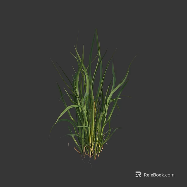 Vibrant Green Grass With Long Fresh Leaves On Dark Background 3d model 