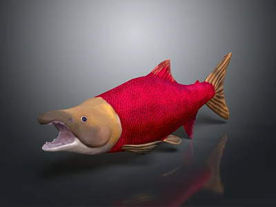 Red and Yellow Aquatic Fish with Open Mouth Yellow Head and Tail 3d model