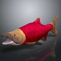 Red and Yellow Aquatic Fish with Open Mouth Yellow Head and Tail