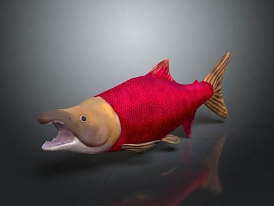 modern fish freshwater fish marine fish animal 3d model