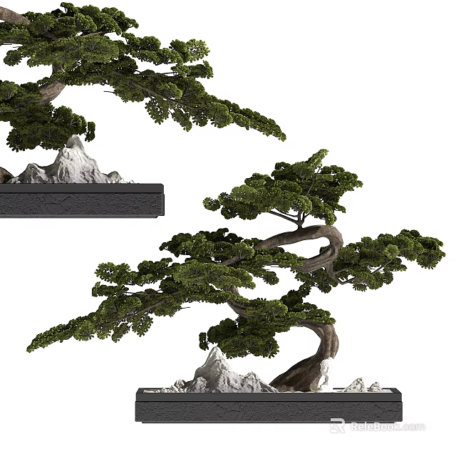 Artistic Bonsai Tree With Curved Branches And Lush Green Foliage In Pot With Stones 3d model 