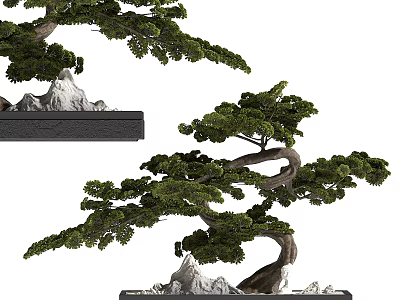 Artistic Bonsai Tree With Curved Branches And Lush Green Foliage In Pot With Stones 3d model