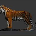 Realistic Tiger Sculpture With Orange Black Stripes Standing On Stone Base