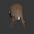 Metallic Head Model Featuring Facial Organ Structure And Long Brown Hair