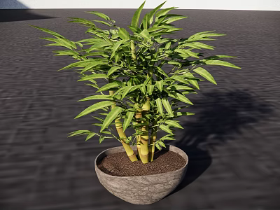 Potted Bonsai Bamboo Plant With Lush Green Leaves And Terracotta Pot 3d model