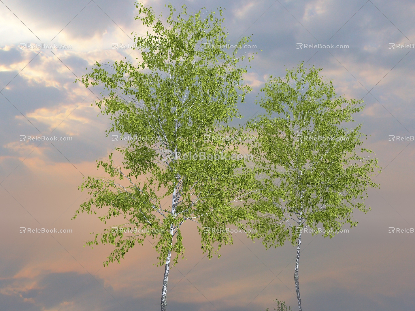 Trees Big Trees Street Trees Landscape Trees Trees Forest Forest Tree Dry Branch Park Plants Urban Greening Urban Beautification Outdoor 3d model