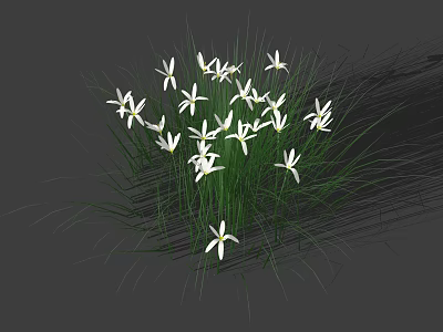 Cluster of White Small Flowers with Green Long Grass on Gray Background 3d model