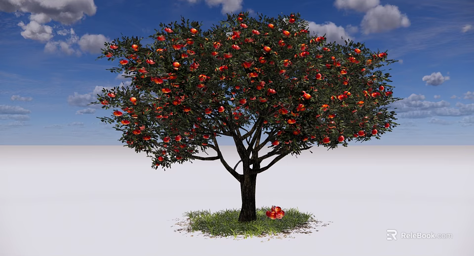Lush Deciduous Tree With Red Fruits And Green Grass Around Fallen Fruit 3d model 