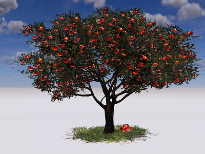 Lush Deciduous Tree With Red Fruits And Green Grass Around Fallen Fruit 3d model