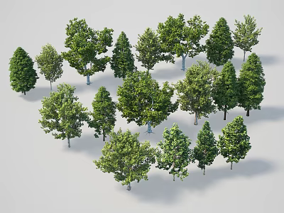 Various Forms of Arbor Trees Featuring Green Leaves and Trunks on White Background 3d model