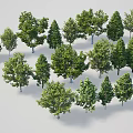 Various Forms of Arbor Trees Featuring Green Leaves and Trunks on White Background