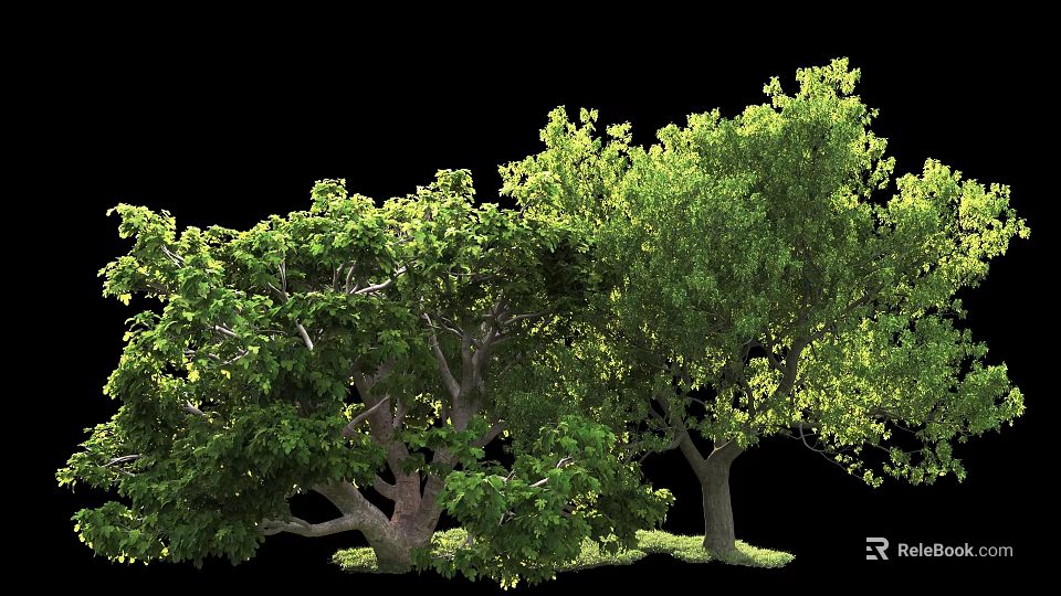 Lush Green Arbor Trees With Dense Foliage Strong Trunks And Natural Ground Cover 3d model 