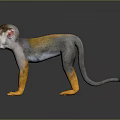 Standing Monkey With Grey And Yellow Fur On Black Background With Reflection 3d model
