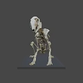 Detailed Animal Skeleton Display Model With Black Base And Bone Structure 3d model