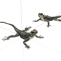 Two Dark Colored Reptile Lizards On White Background With Natural Posture 3d model