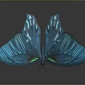 Vibrant Blue Iridescent Butterfly With Shiny Wings And Detailed Scales