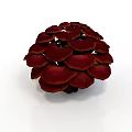 Red Mushroom Like Plant With Circular Stacked Shiny Red Caps Against White Background