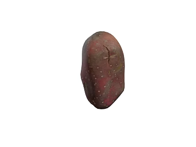 Fresh Reddish Brown Potato With Natural Speckles And Smooth Surface Texture 3d model