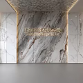 Modern Marble Feature Wall Design With Sleek Panels And Accent Lighting 3d model