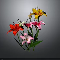 Colorful Lily Bouquet Featuring Red Pink Yellow White Lilies With Green Leaves Against Dark Background