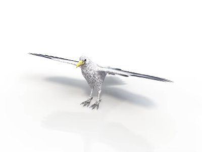White Bird with Open Wings and Yellow Beak Standing on White Background 3d model