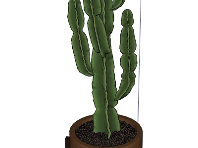Green Cactus Bonsai Potted Plant for Indoor Home Decoration 3d model